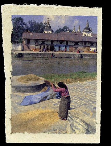Threshing Rice, Pashupatinath Temple, Kathmandu, Nepal, 1993.